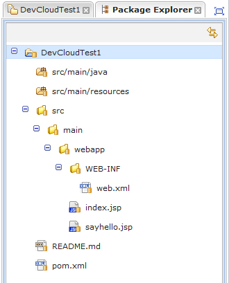 Default web application directories